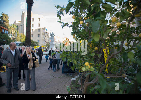 Frankreich: Lemons Festival in Menton Stockfoto