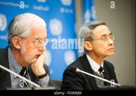 New York, USA. 22. Februar 2016. Information durch den Vorsitzenden der Kommission zur Untersuchung von Syrien Paulo Sérgio Pinheiro im Durchschnitt während der Pressekonferenz über den Stand der Arabischen Republik Syrien "von der Kommission zur Untersuchung von der Arabischen Republik Syrien am Sitz der Vereinten Nationen Credit: LUIZ ROBERTO LIMA/Alamy Live News Stockfoto