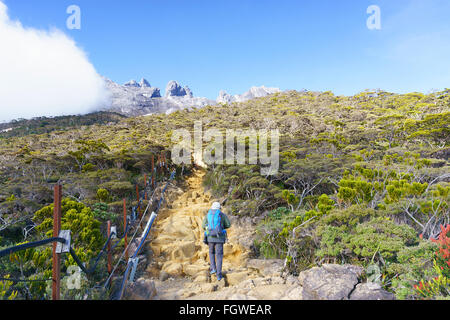 Solo-Wanderer auf Mount Kinabalu Trails gesehen. Mount Kinabalu ist der am meisten besuchte Berg in Borneo. Stockfoto