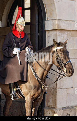 Blues & Royals Trooper Stockfoto