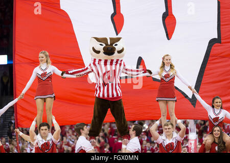 Madison, WI, USA. 21. Februar 2016. Wisconsin Cheerleader unterhalten Publikum während der NCAA Basketball-Spiel zwischen Illinois Fighting Illini und die Wisconsin Badgers am Kohl Center in Madison, Wisconsin. Wisconsin besiegte Illinois 69-60. John Fisher/CSM/Alamy Live-Nachrichten Stockfoto