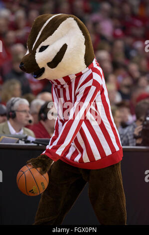 Madison, WI, USA. 21. Februar 2016. Bucky Dachs während der NCAA Basketball-Spiel zwischen Illinois Fighting Illini und die Wisconsin Badgers am Kohl Center in Madison, Wisconsin. Wisconsin besiegte Illinois 69-60. John Fisher/CSM/Alamy Live-Nachrichten Stockfoto