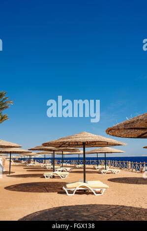 Liegestühle und ein Sonnenschirm auf einem Strand-Urlaub-Konzept Stockfoto