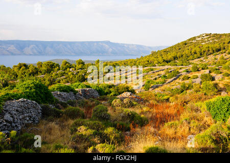 Insel Hvar, alten Mauern Holdings, Lukavci, Scedro Inseln im Nebel auf Ansätze zur Stadt Hvar unten, Dalmatien, Kroatien Stockfoto