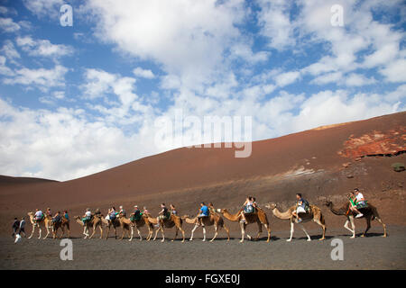 Echadero de Camellos, Kamel reiten, Parque Nacional de Timanfaya, Insel Lanzarote, Kanarische Inseln, Spanien, Europa Stockfoto