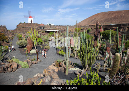 Jardin de Cactus Künstlers Cesar Manrique, Guatiza Gebiet, Insel Lanzarote, Kanarische Inseln, Spanien, Europa Stockfoto