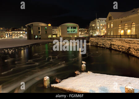 Schwäne und Gänse auf dem zugefrorenen See Tjörnin, Rathaus von Reykjavik. Reykjavik, Island. Stockfoto