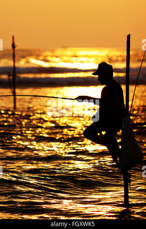 Silhouetten von der traditionellen Stelzenfischer bei Sonnenuntergang in der Nähe von Galle in Sri Lanka Stockfoto