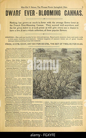 Ein Reiseleiter konzentriert sich auf die Verbesserung der Inneneinrichtung mit Pflanzen, Blumen und dekorativen Elementen und gibt Tipps für die Schaffung schöner, harmonischer Wohnräume. Stockfoto