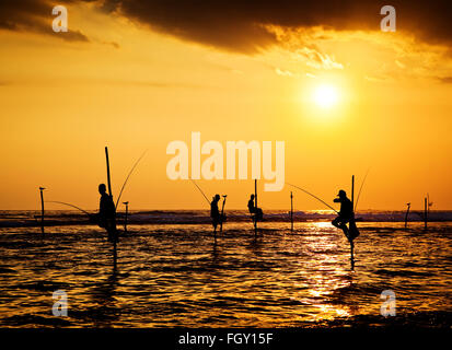 Silhouetten von der traditionellen Stelzenfischer bei Sonnenuntergang in der Nähe von Galle in Sri Lanka Stockfoto