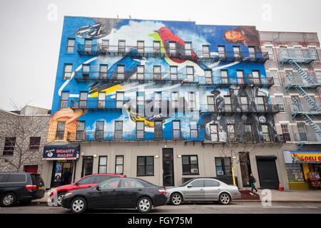 Ein Wandbild von Gaia, zeigen mehrere vom Aussterben bedrohte Vögel sowie James Audubon selbst Teil der Audubon Wandbild Projekte schmückt die Seite eines Gebäudes in Washington Heights in New York auf Sonntag, 21. Februar 2016. Die Wandmalereien schmücken die Gebäude und Fassaden zeigen Klima bedrohte Vögel und sind dazu gedacht, das öffentliche Bewusstsein für die Drohungen gegen die verschiedenen Arten der Vögel zu schaffen. (© Richard B. Levine) Stockfoto