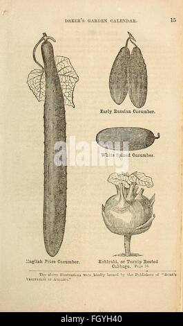 Dreer Gartenkalender 1868 Stockfoto