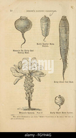 Dreer Gartenkalender 1868 Stockfoto