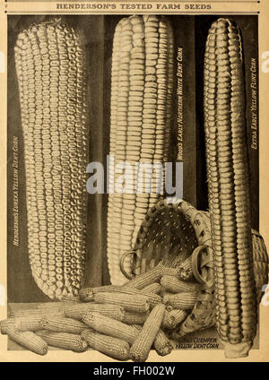 Henderson's Farmers Manual (1919) bietet praktische Anleitungen für Landwirte in den Bereichen Pflanzenanbau, Tierhaltung und Betriebsführung und bietet fachkundige Beratung für eine erfolgreiche Landwirtschaft. Stockfoto