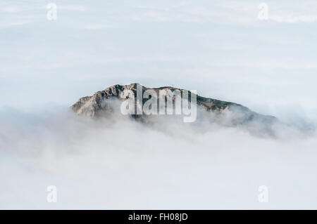 Gipfel des Berges Beschiesser, von einem Meer von Nebel, gesehen vom Gipfel des Gaishorns in der Nähe von See Vilsalpsee, Herbst, Hochnebel, Stockfoto