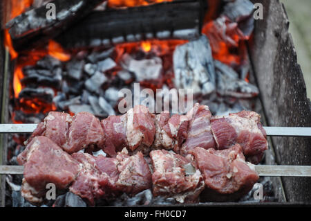 frisches Fleisch mariniert mit Zwiebeln und Gewürze zum Grillen Stockfoto