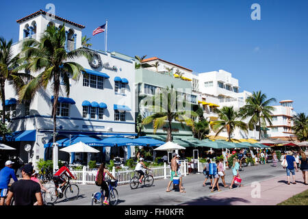 Florida, South, FL, Miami Beach, Ocean Drive, Neujahr, Hotel Hotels Unterkunft Inn Motel Motels, Unterkunft, Hotels, Shore Park, Pelican, Restaurant Restaurants Stockfoto