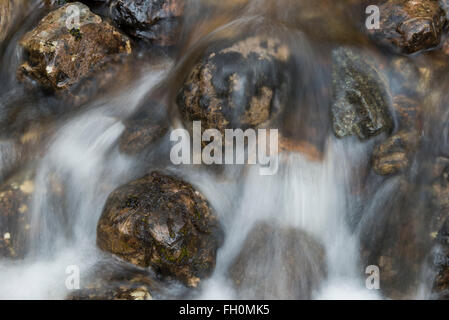 Creek mit schnell fließenden Gewässern mit Steinen im Bach. Stockfoto