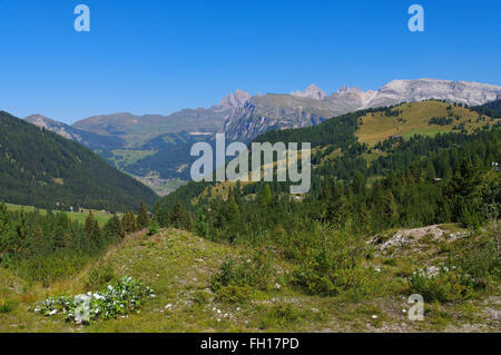 Sellajoch in Den Dolomiten, Züricher Alpen - Sella pass in den Dolomiten, Italienische Alpen Stockfoto