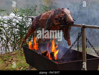 Wildschwein bin Spiess - traditionelle Wildschwein am Spieß und Holzfeuer Stockfoto