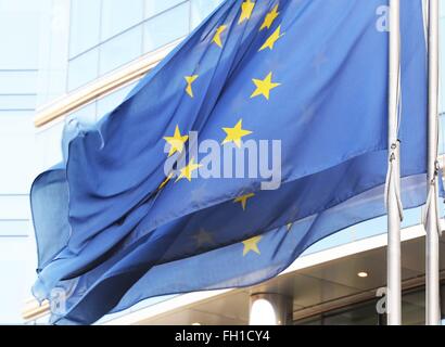 Europäische Flaggen in Brüssel (Bruxelles) 8. Januar 2016 Stockfoto