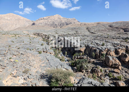 Trockene Tal (Wadi) in das Hajar-Gebirge. Sultanat von Oman, Naher Osten Stockfoto