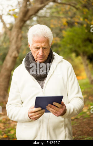 Senior Woman im Park mit tablet Stockfoto