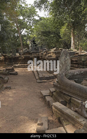 Bäume wachsen aus den Ruinen von Beng Mealea (oder bung mealea) Tempel, Kambodscha, Asien. Stockfoto