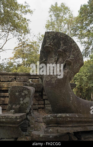 Skulptur eines Naga, Ruinen von Beng Mealea (oder bung mealea) Tempel, Kambodscha, Asien. Stockfoto