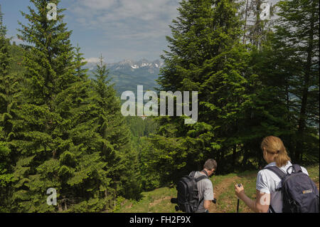 Wanderer in den Kitzbüheler Alpen. Kitzbühel. Österreich. Europa Stockfoto