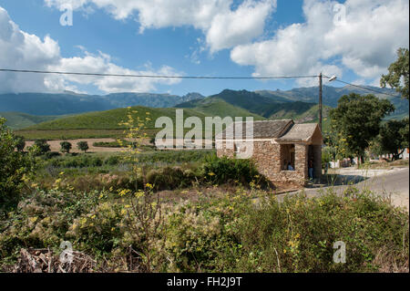 Chapelle Saint-Léonard in Pietracorbara. Korsika. Frankreich. Europa Stockfoto