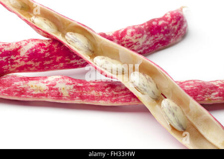 Frische rohe Borlotti Bohnen in der Schale auf weißem Hintergrund Stockfoto