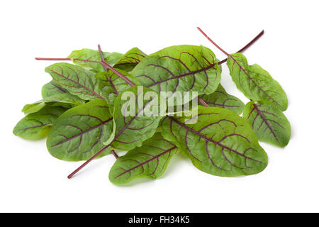 Frische rot geäderten Sauerampfer lässt auf weißem Hintergrund Stockfoto