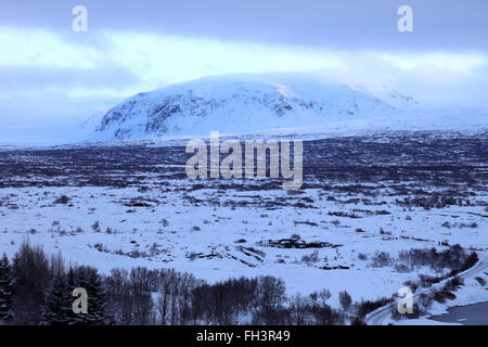 Winter Schnee Blick über Pingvellir Nationalpark, UNESCO-Weltkulturerbe, Süd-West-Island, Europa. Stockfoto