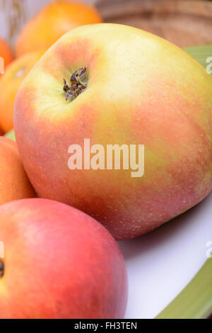 viele verschiedene Früchte für die Gesundheit der ganzen Familie, Pfirsich, Mandarine, Apfel Stockfoto