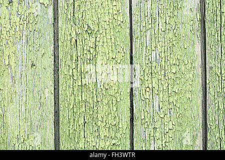 Grüner Baum Rinde Textur Hintergrund Stockfoto