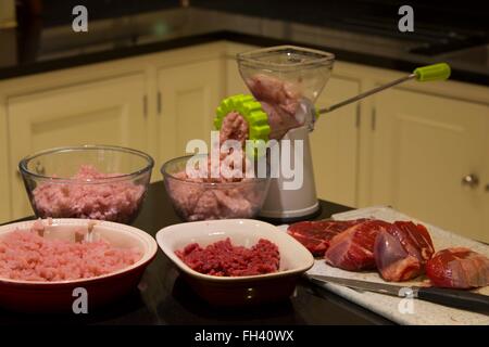 Fleischwolf oder Schleifer in einem inländischen Familienküche mit mehreren verschiedenen Arten von Hackfleisch / Faschiertem, einschließlich Huhn, Rindfleisch und Türkei Stockfoto