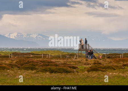 Touristen, die die Kolonie von Magellan-Pinguine (Spheniscus Magellanicus) am Seno Otway Stockfoto