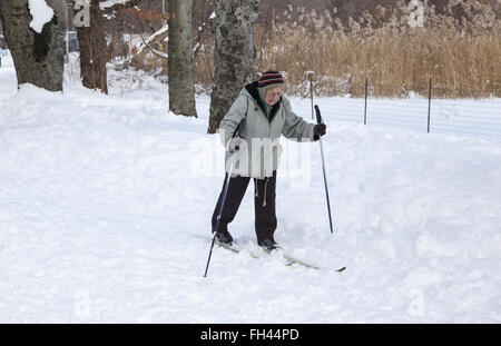 Ältere Frau, noch Langlauf Ski nach einem großen Schneesturm. Prospect Park, Brooklyn, NY. Stockfoto