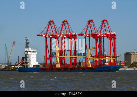 Operational Cantilever Rail-Mounted Gantry (CRMG) Cranes Liverpool2, Liverpool zwei Container Terminal Extension angrenzend an den Fluss Mersey in Seaforth, eine Investition von £400 Millionen in die Schaffung eines neuen Tiefwasser-Container-Terminals am Hafen von Liverpool, die es den größten Schiffen ermöglichen, direkt in der Stadt zu entladen. Das Schiff NOFIT (IMO: 9137739, MMSI: 428061000) ist ein Stückgutschiff, das im Jahr 1997 unter der Flagge Israels eingesetzt wurde. NOFIT hat eine Gesamtlänge von 94 m und eine Breite von 17 m. Ihre Bruttotonnage beträgt 4078 Tonnen und ist hier abgebildet, als sie den Hafen von Liverpool, gegenüber dem Seaforth Dock, Großbritannien, betrat Stockfoto