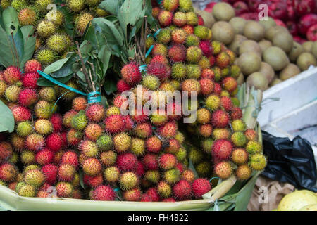 Rambutan Früchte (Nephelium Lappaceum) vor allem in Malaysia und Indonesien angebaut Stockfoto