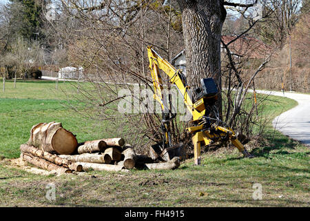 Griesser hinten Dreipunkt-Kran Hk 4000 Protokolle Holz unter Eiche, Chiemgau, Oberbayern, Deutschland, Stockfoto