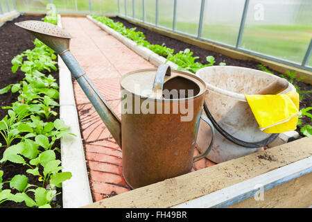 Landwirtschaftliche Geräte, Bewässerung, Dose, Eimer, gelbe Handschuhe in einem Gewächshaus Stockfoto