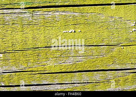 Oberfläche einer leeren grünen hölzernen Hintergrund. Stockfoto