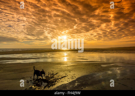 Nur verbrachte das Wochenende in einem Strandhaus am Anderby Creek an der Ostküste von England. Wachte auf, um einen spektakulären Sonnenaufgang. Stockfoto