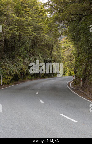 Milford Road entlang Cleddau Tal mit Blick auf Fiordland National Park. Aufgenommen im Sommer in Neuseeland. Stockfoto