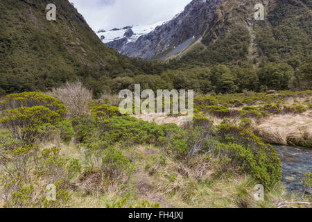 Milford Road entlang Cleddau Tal mit Blick auf Fiordland National Park. Aufgenommen im Sommer in Neuseeland. Stockfoto