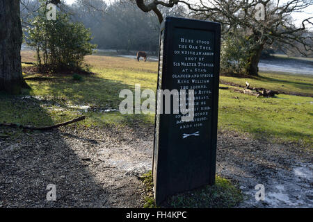 Rufus Stone markiert den Ort, wo William Rufus, Wilhelm der Eroberer ' Sohn, wurde im New Forest getötet. Ein wildes Pony weidet im Hintergrund. Stockfoto