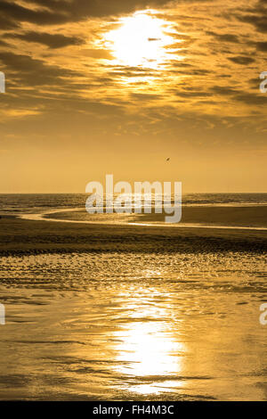 Nur verbrachte das Wochenende in einem Strandhaus am Anderby Creek an der Ostküste von England. Wachte auf, um einen spektakulären Sonnenaufgang. Stockfoto