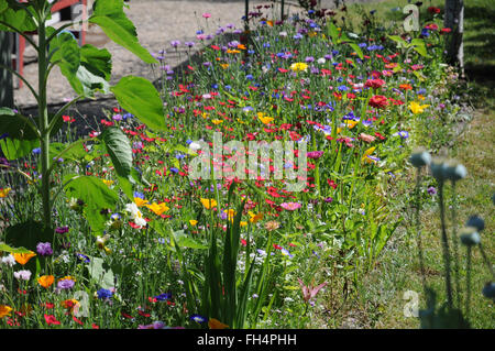 Roter Lein Stockfoto